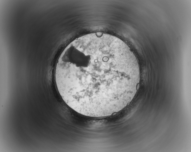 X0000093520495200711091742