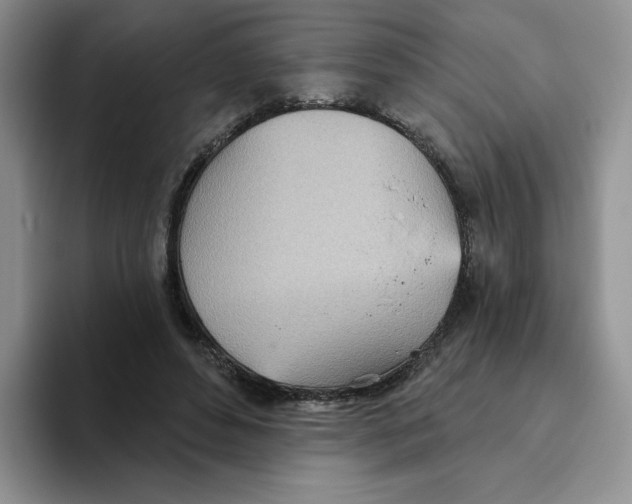 X0000093520496200711091742