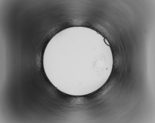 X0000093520497200711091742