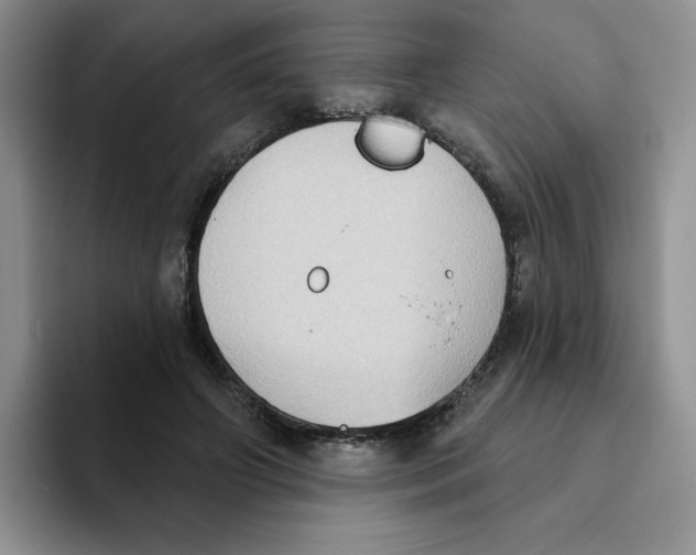 X0000093520498200711091742