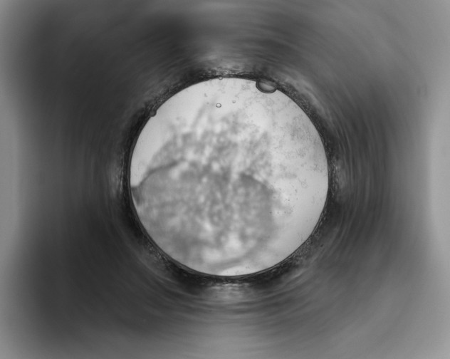 X0000093520499200711091742