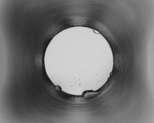 X0000093520501200711091742