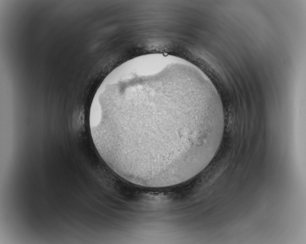 X0000093520502200711091742