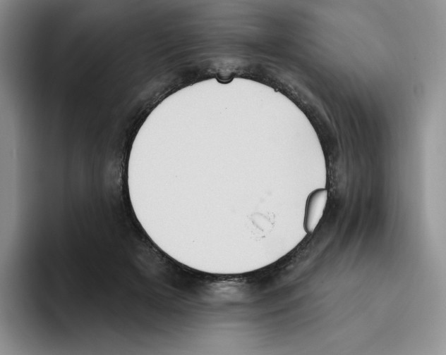 X0000093520505200711091742