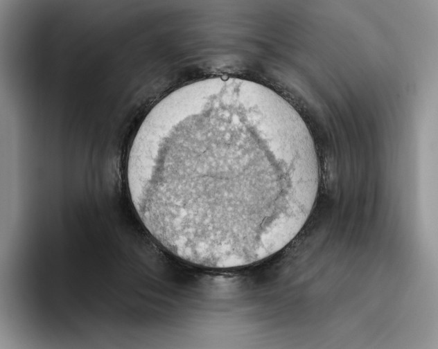 X0000093520506200711091742