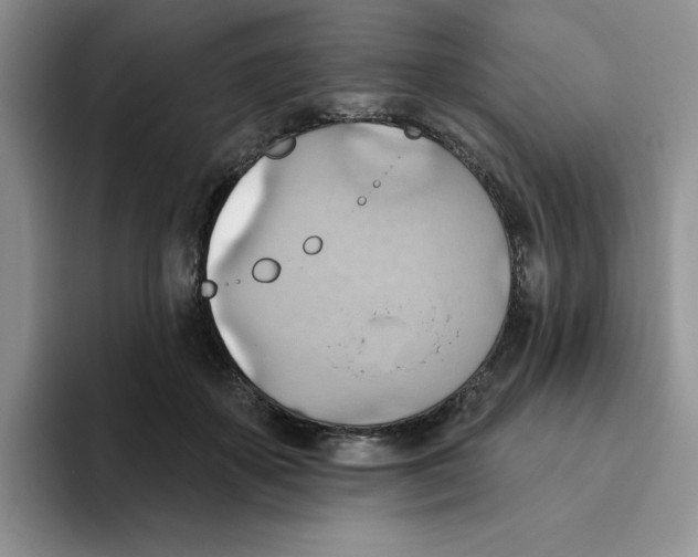 X0000093520507200711091742