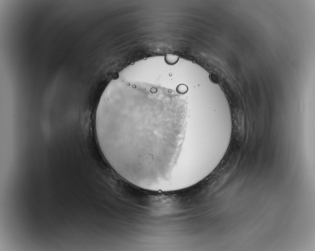 X0000093520511200711091742