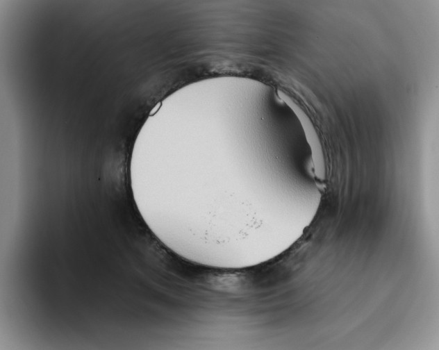 X0000093520513200711091742