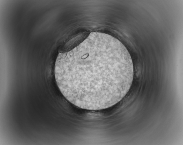 X0000093520515200711091742