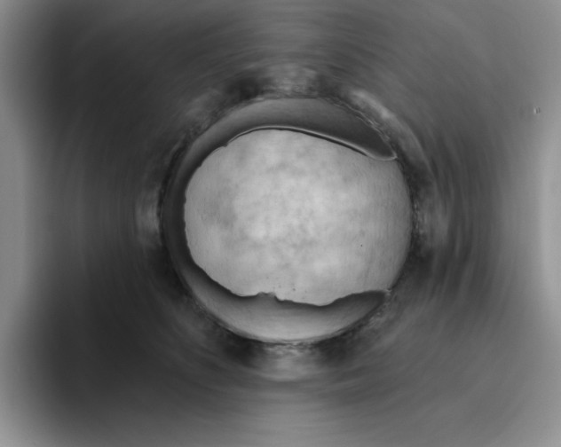 X0000093520516200711091742