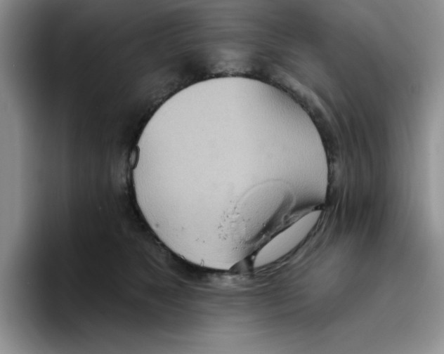 X0000093520517200711091742