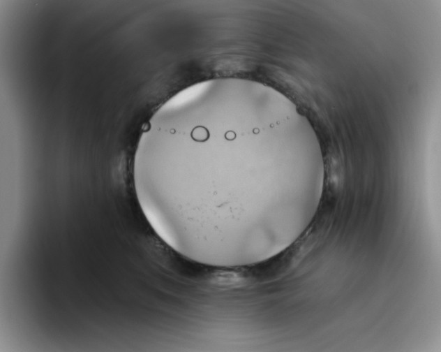 X0000093520519200711091742