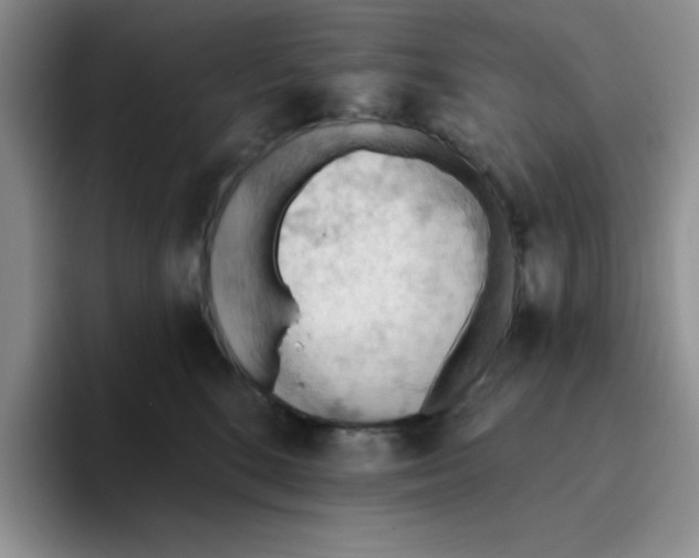 X0000093520520200711091742