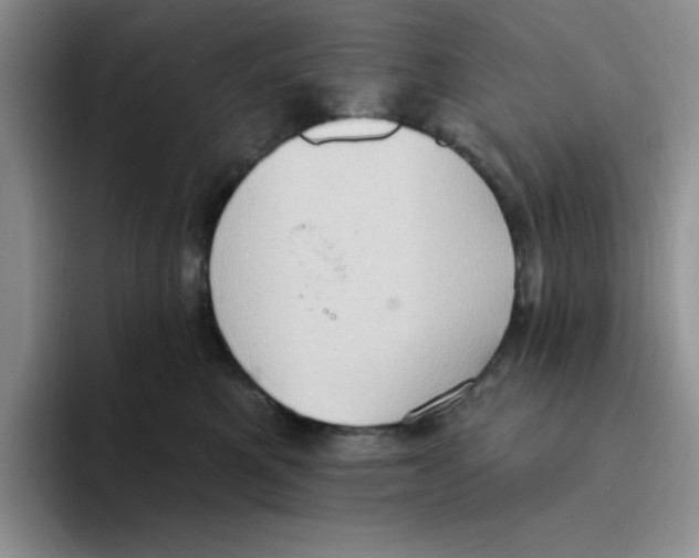 X0000093520521200711091742