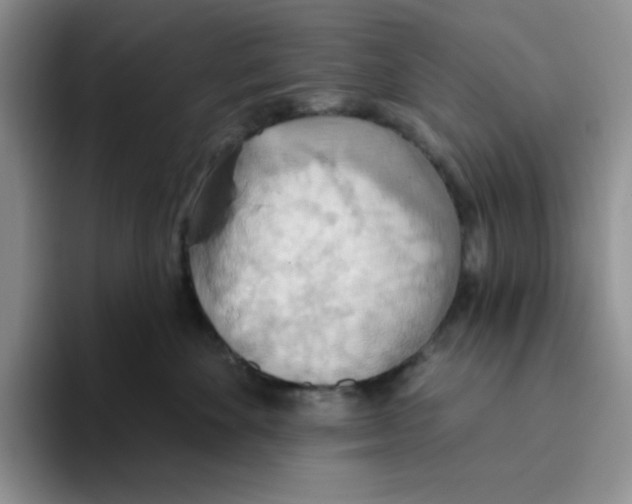 X0000093520524200711091742