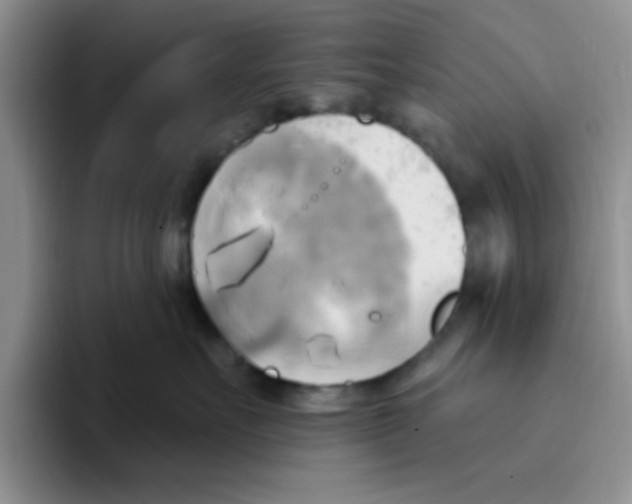 X0000093520527200711091742