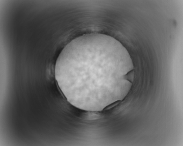 X0000093520528200711091741