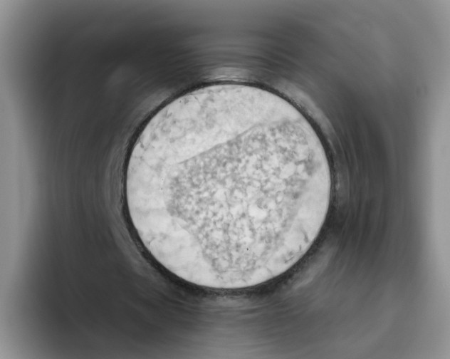 X0000093520529200711091741