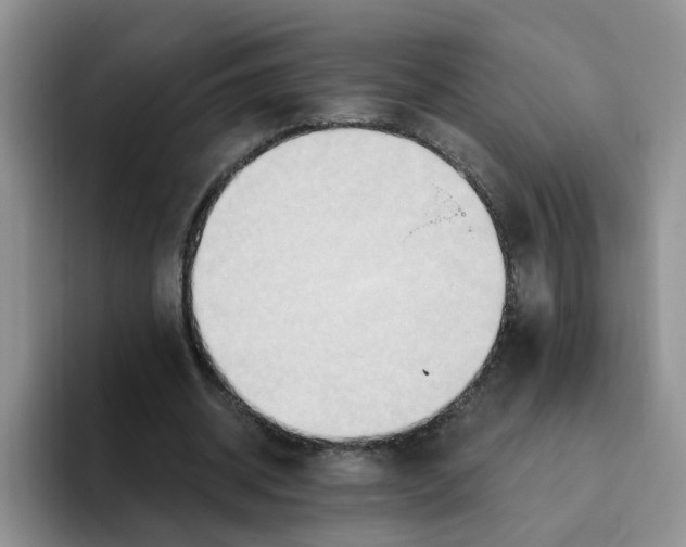 X0000093520534200711091741