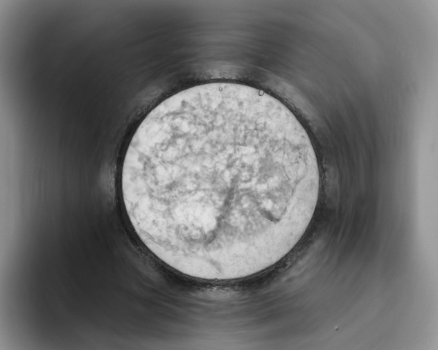 X0000093520537200711091741