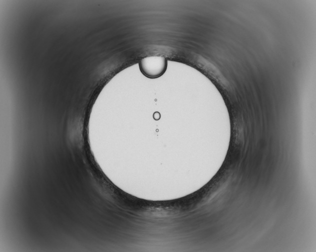 X0000093520538200711091741