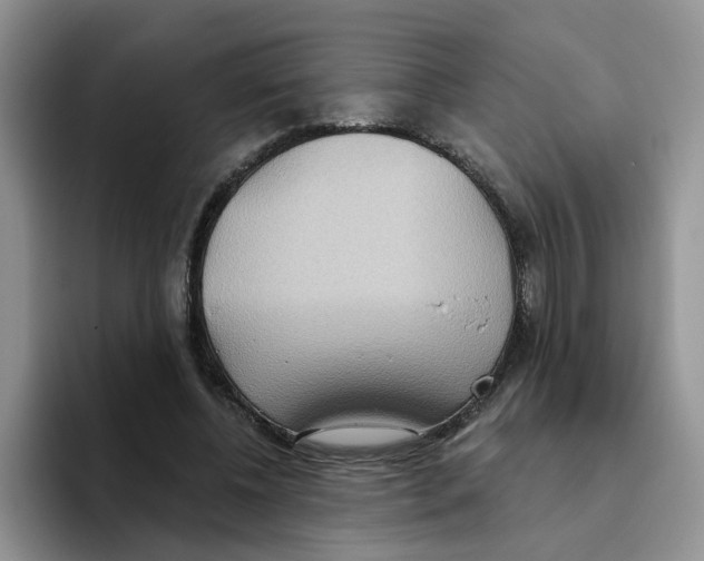 X0000093520540200711091741