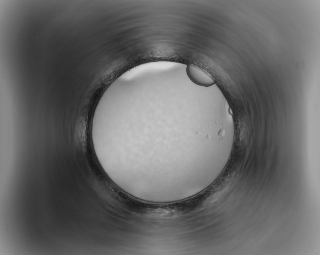 X0000093520542200711091741