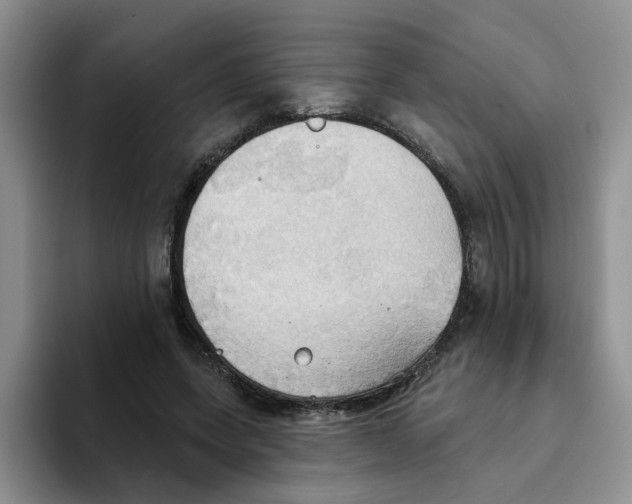 X0000093520543200711091741