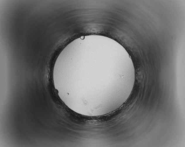 X0000093520544200711091741