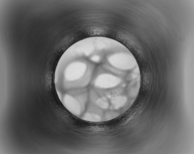 X0000093520545200711091741