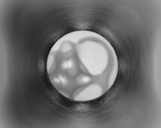 X0000093520549200711091741