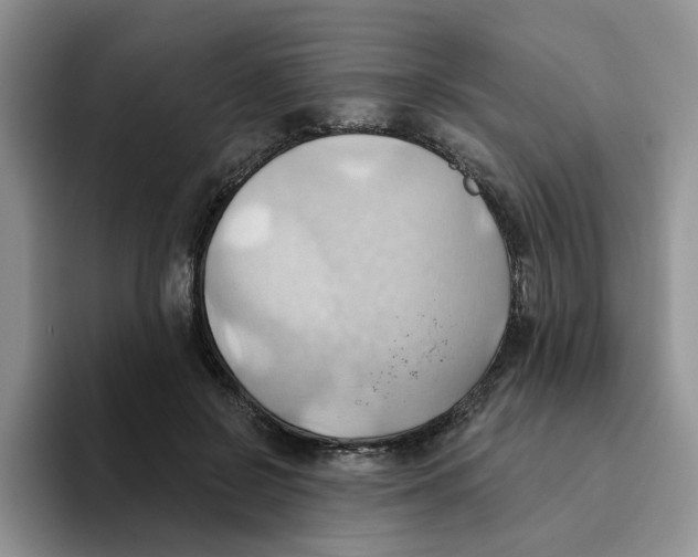 X0000093520550200711091741