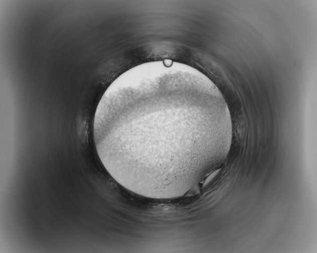 X0000093520551200711091741