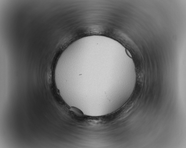 X0000093520552200711091741