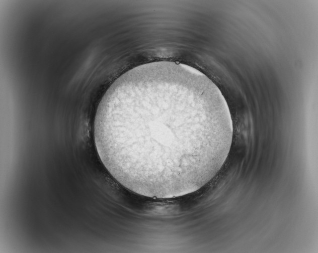 X0000093520555200711091741