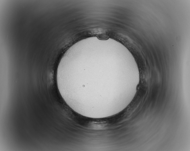 X0000093520556200711091741