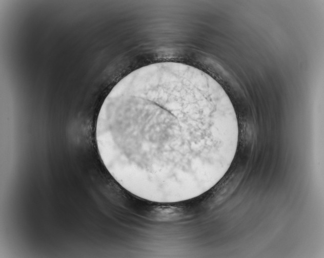 X0000093520557200711091741