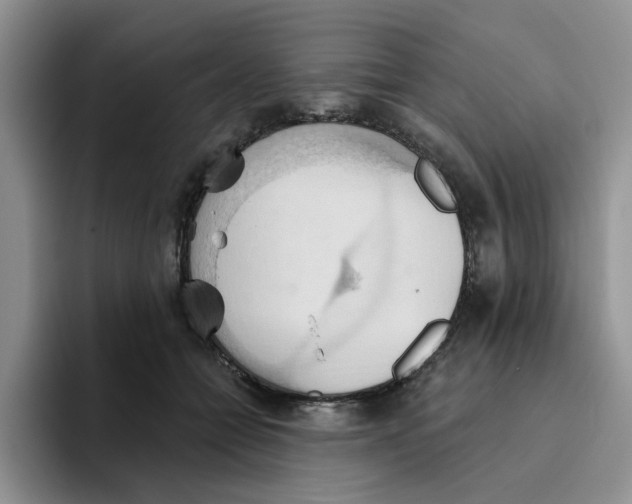 X0000093520558200711091741