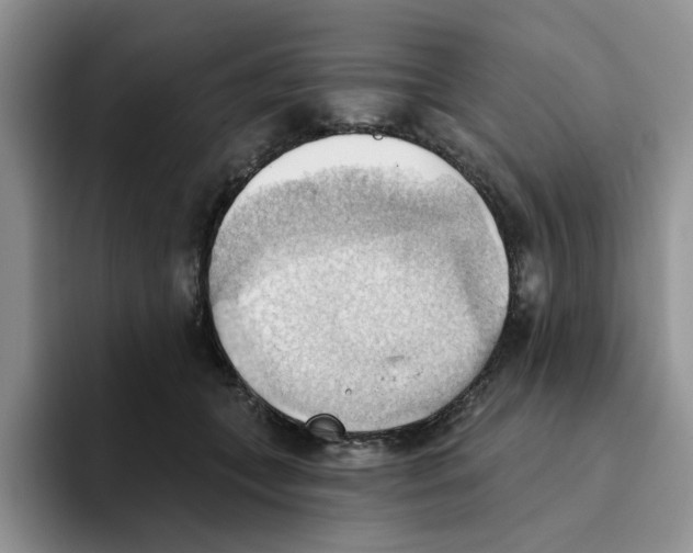 X0000093520559200711091741