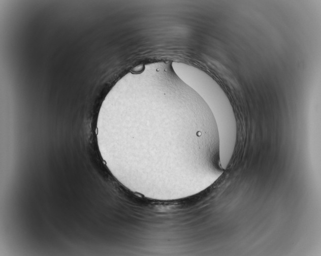 X0000093520560200711091741