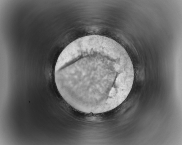 X0000093520561200711091741