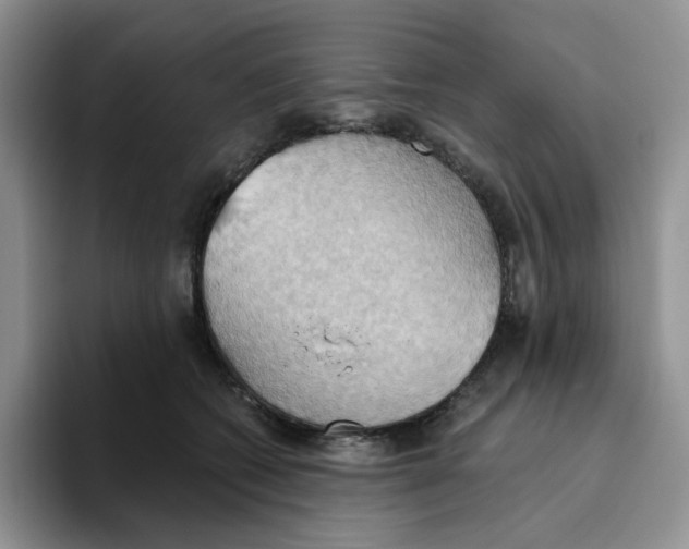 X0000093520562200711091741