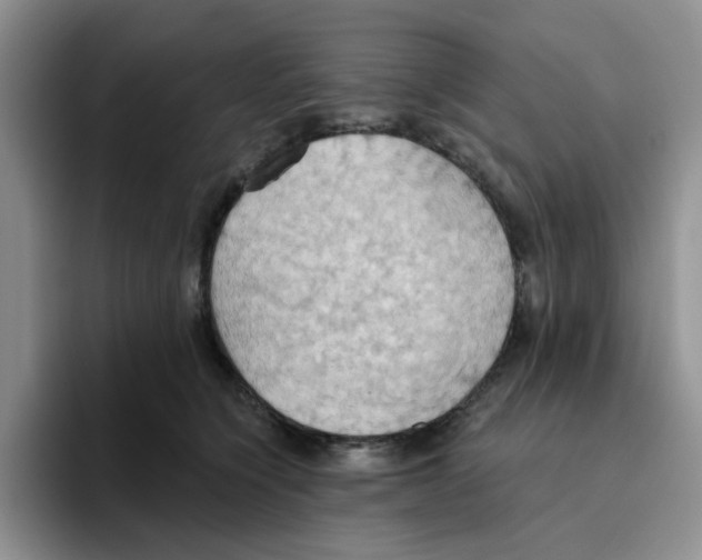 X0000093520564200711091741