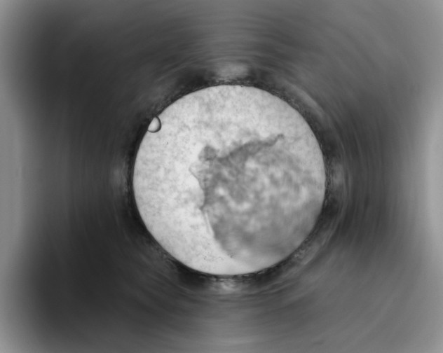 X0000093520565200711091741