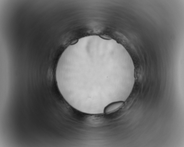 X0000093520568200711091741