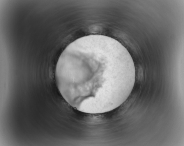 X0000093520569200711091741