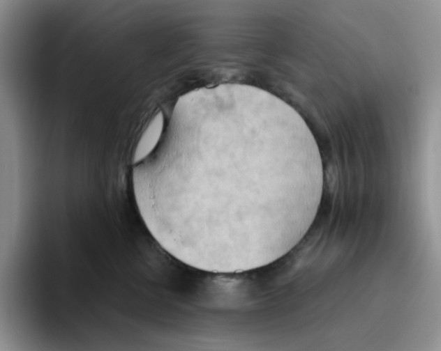 X0000093520570200711091741