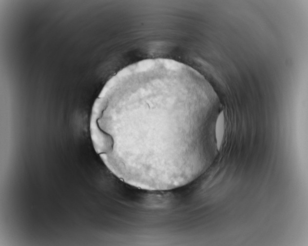 X0000093520571200711091741