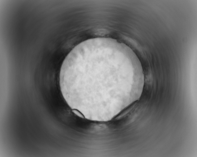 X0000093520572200711091741