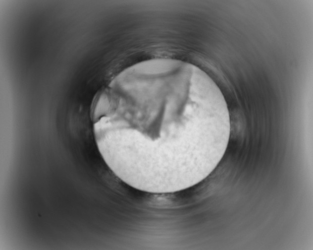 X0000093520573200711091741